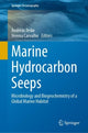 Book cover of: Marine Hydrocarbon Seeps. By: Andreas Teske