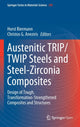 Book cover of: Austenitic TRIP/TWIP Steels and Steel-Zirconia Composites. By: Horst Biermann
