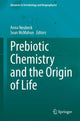 Book cover of: Prebiotic Chemistry and the Origin of Life. By: Anna Neubeck