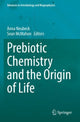 Book cover of: Prebiotic Chemistry and the Origin of Life. By: Anna Neubeck