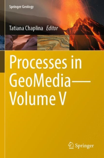 Book cover of: Processes in GeoMedia—Volume V. By: Tatiana Chaplina