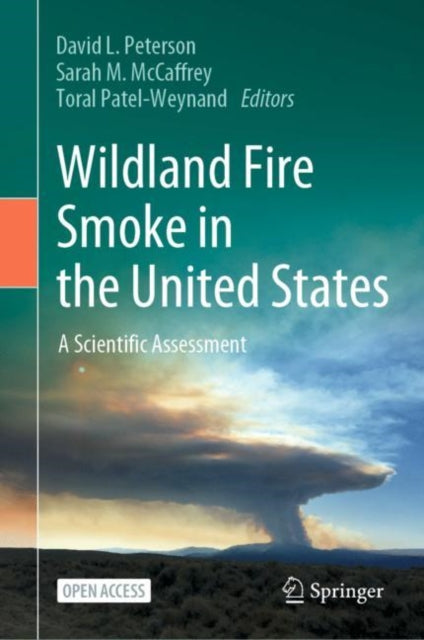 Book cover of: Wildland Fire Smoke in the United States. By: David L. Peterson