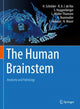 Book cover of: Human Brainstem. By: Hannsjörg Schröder