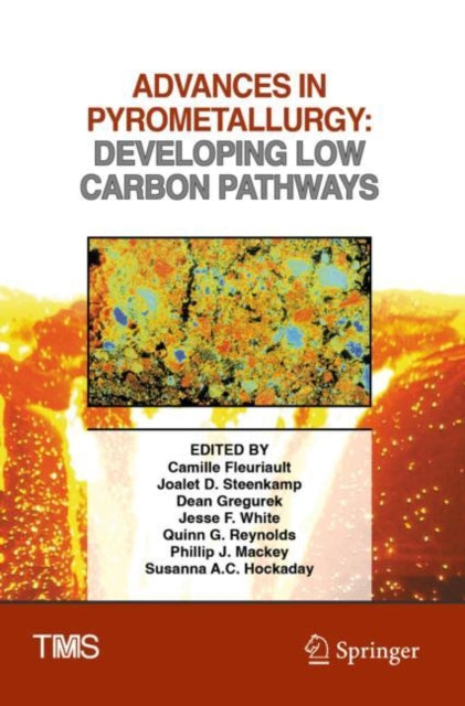 Book cover of: Advances in Pyrometallurgy. By: Camille Fleuriault