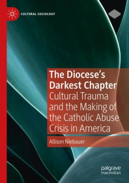 Book cover of: Diocese's Darkest Chapter. By: Allison Niebauer