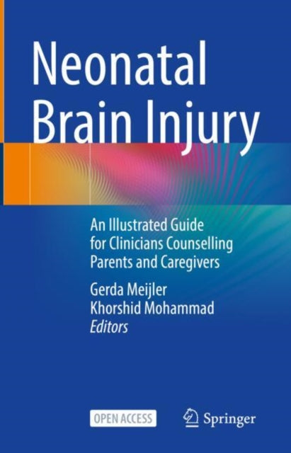 Book cover of: Neonatal Brain Injury. By: Gerda Meijler