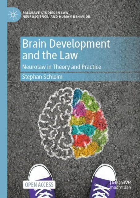 Book cover of: Brain Development and the Law. By: Stephan Schleim