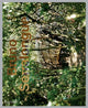 Book cover of: Bruno Serralongue. By: Bruno Serralongue