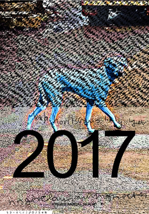Katja Novitskova: Ringier 2017