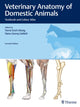 Book cover of: Veterinary Anatomy of Domestic Animals. By: Horst Erich König