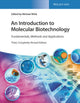 Book cover of: Introduction to Molecular Biotechnology. By: Michael Wink