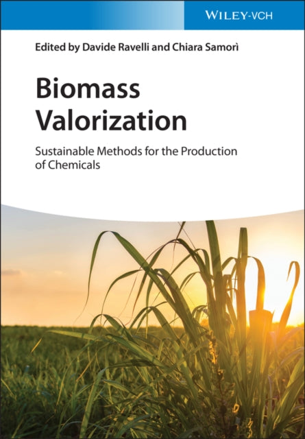 Book cover of: Biomass Valorization. By: Davide Ravelli