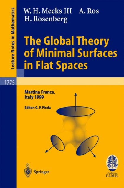 Book cover of: Global Theory of Minimal Surfaces in Flat Spaces