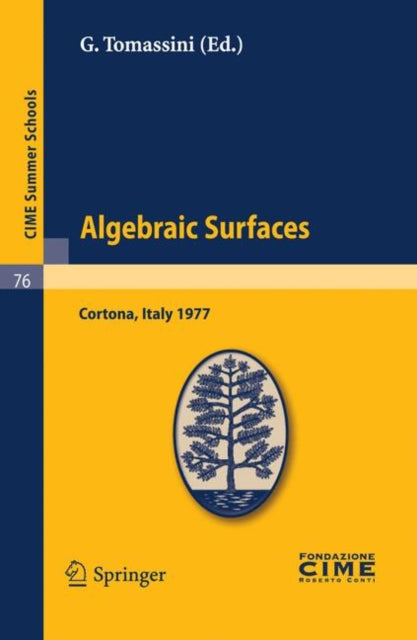 Book cover of: Algebraic Surfaces. By: G. Tomassini