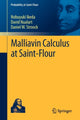 Book cover of: Malliavin Calculus at Saint-Flour