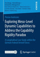 Book cover of: Exploring Meso-Level Dynamic Capabilities to Address the Capability Rigidity Paradox. By: Florian Andresen