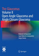 Book cover of: Glaucomas. By: Roberto Sampaolesi