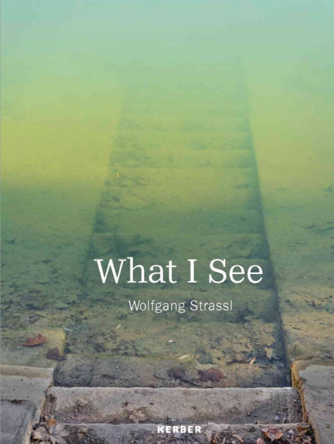Book cover of: What I See