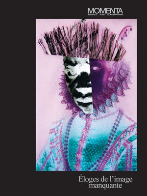 MOMENTA: Eloges de l’image manquante