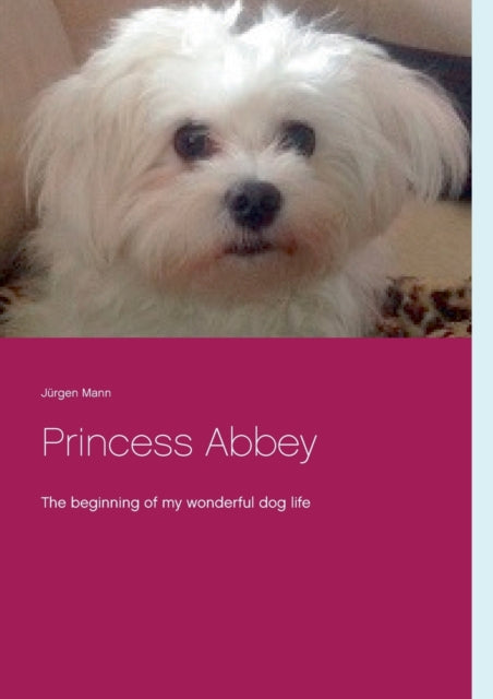 Book cover of: Princess Abbey