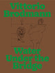 Book cover of: Vittorio Brodmann. By: Valérie Knoll