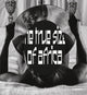 Book cover of: True Size of Africa