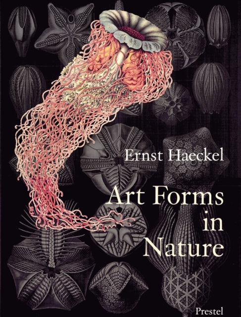 Book cover of: Art Forms in Nature