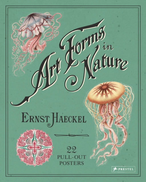 Book cover of: Ernst Haeckel: Art Forms in Nature: 22 Pull-Out Posters. By: Ernst Haeckel