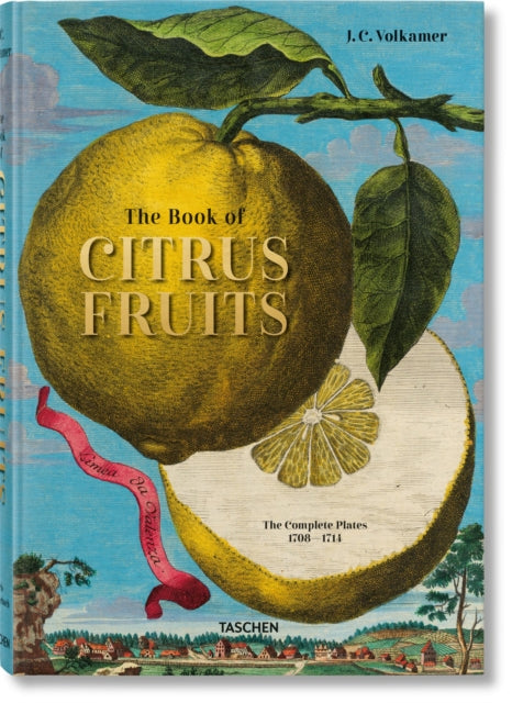 Book cover of: J. C. Volkamer. Citrus Fruits. By: Iris Lauterbach