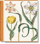 Book cover of: Basilius Besler. The Garden at Eichstatt. By: Klaus Walter Littger