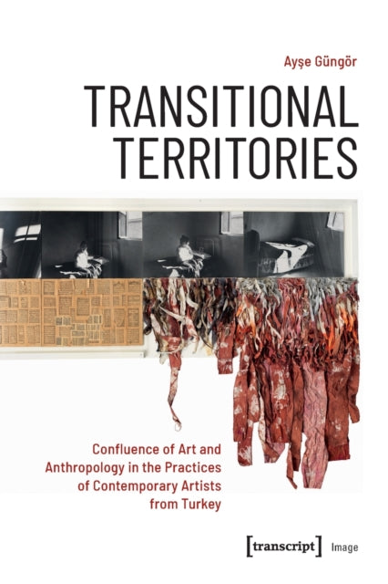 Book cover of: Transitional Territories. By: Ayse Güngör