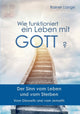 Book cover of: Wie funktioniert ein Leben mit Gott?