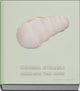Book cover of: Corina Staubli. By: Nana Pernod