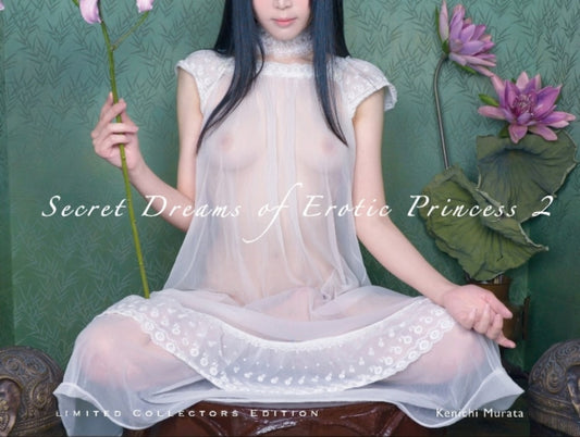 Book cover of: Secret Dreams of Erotic Princess 2