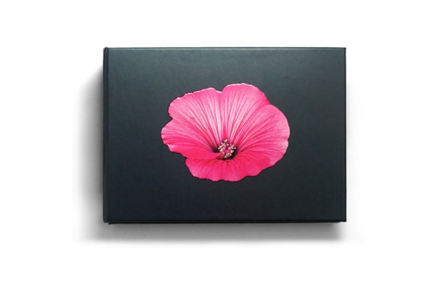 Book cover of: Blooming Book