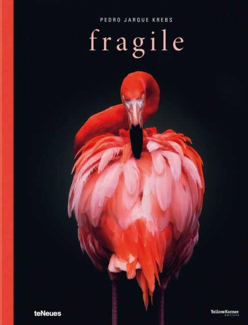 Book cover of: Fragile. By: Pedro Jarque Krebs