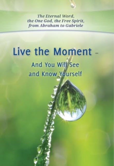 Book cover of: Live the Moment