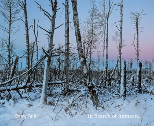 Book cover of: In Search of Amnesia. By: Barry Falk