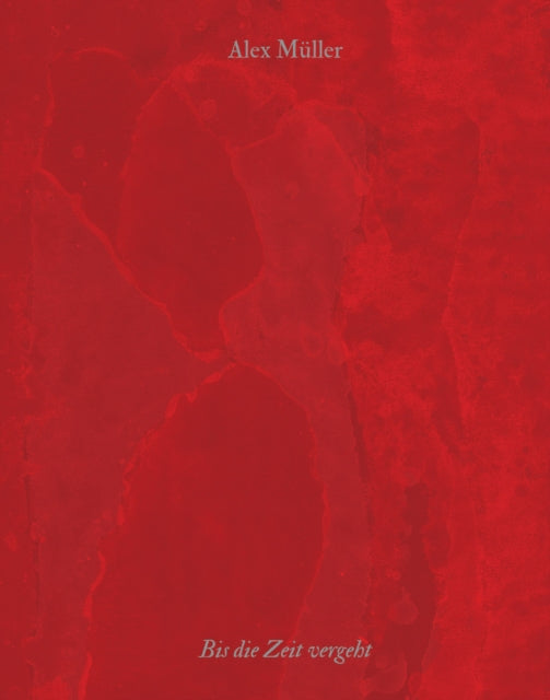 Book cover of: Alex Muller. By: Kunsthalle Nurnberg