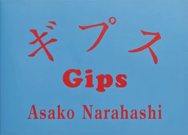 Book cover of: Gips