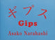 Book cover of: Gips