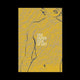 Book cover of: Paper Side of Art. By: Katalin Bódi