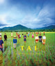 Book cover of: Tai. By: Hans Roels