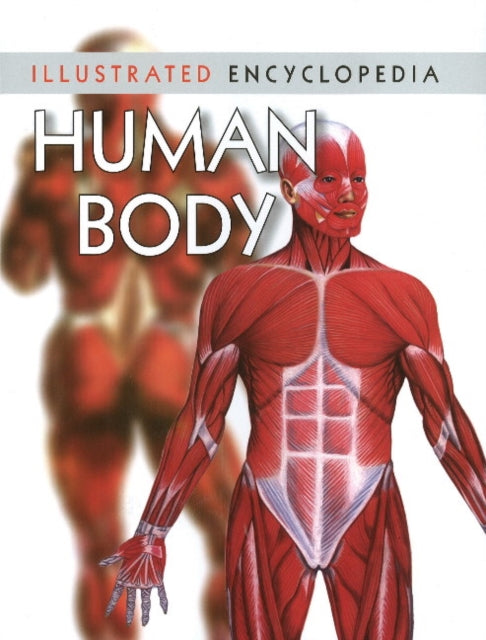 Book cover of: Human Body