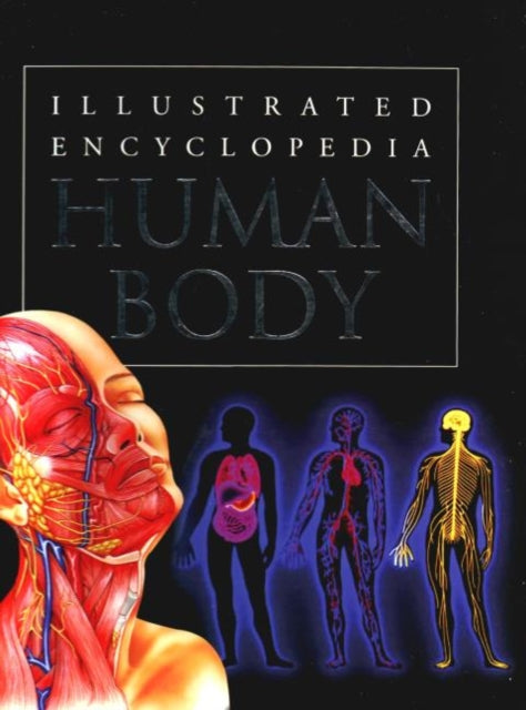 Book cover of: Human Body