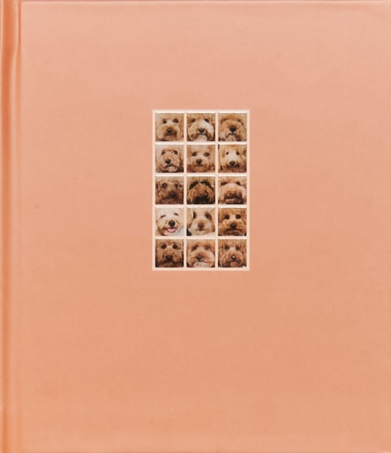 Book cover of: APRICOT POODLE