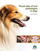 Book cover of: Visual Atlas of Oral Pathologies in Dogs