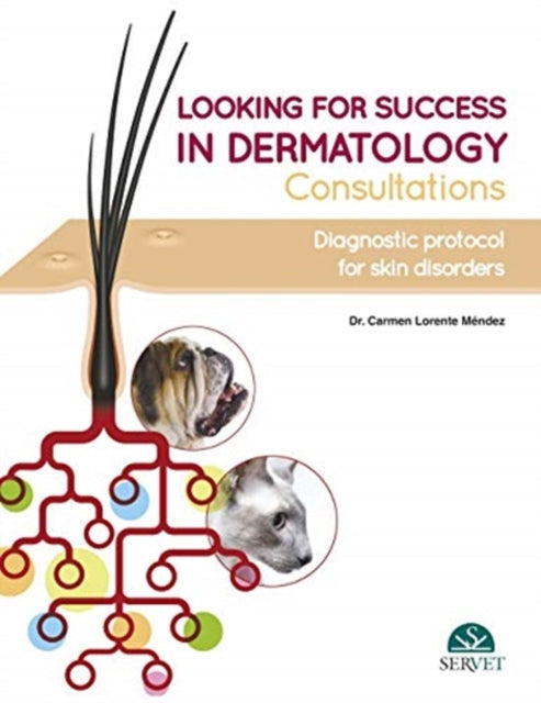 Book cover of: Looking for Success in Dermatology Consultations. Diagnostic Protocol for Skin Disorders