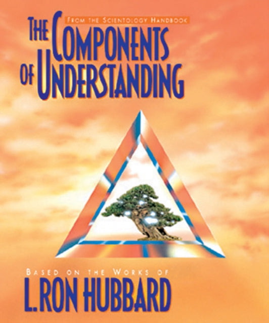 Book cover of: Components of Understanding. By: Joel D. Hubbard