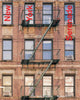 Book cover of: New York Serenade. By: Michele Primi